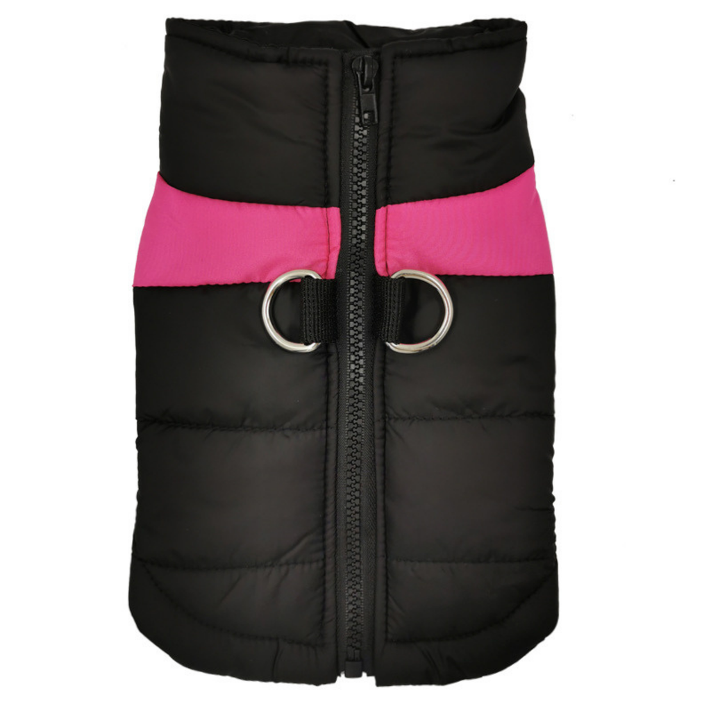 Everyday Adventure Pet Vest
