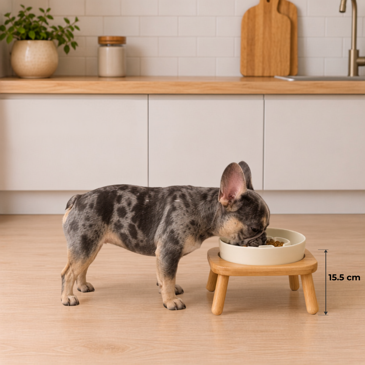 Garden Table Ceramic Pet Feeder