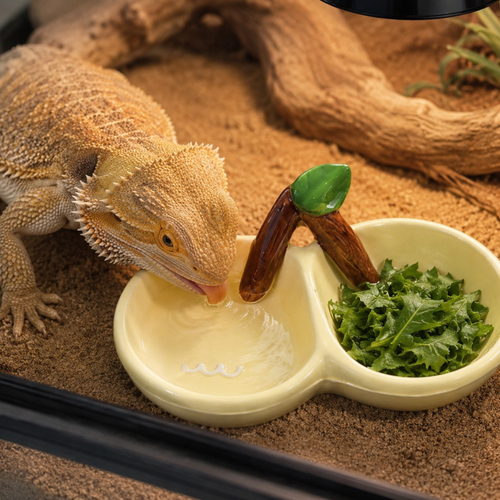 Cherry Blossom Divided Reptile Dish