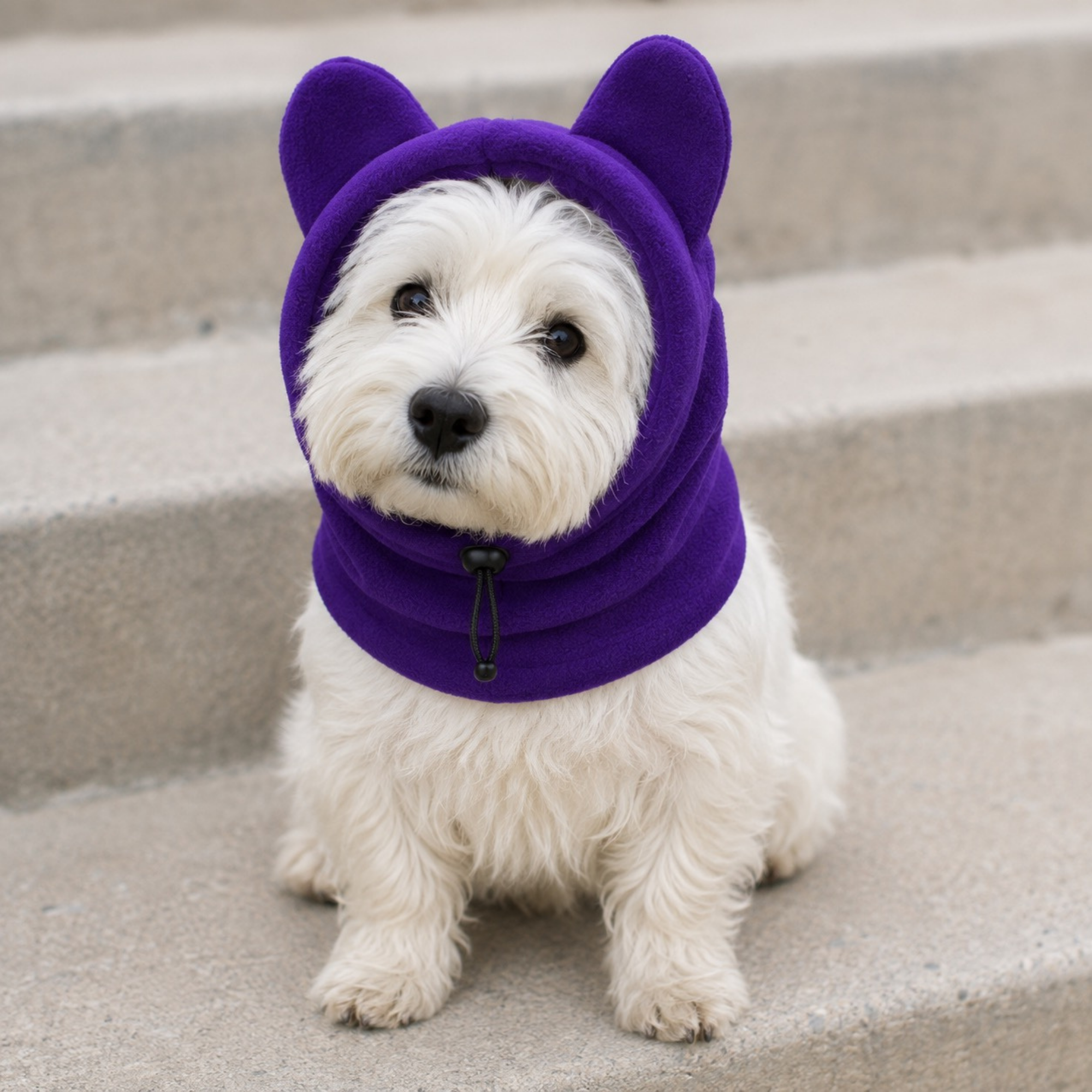 Fleece Ear Hood