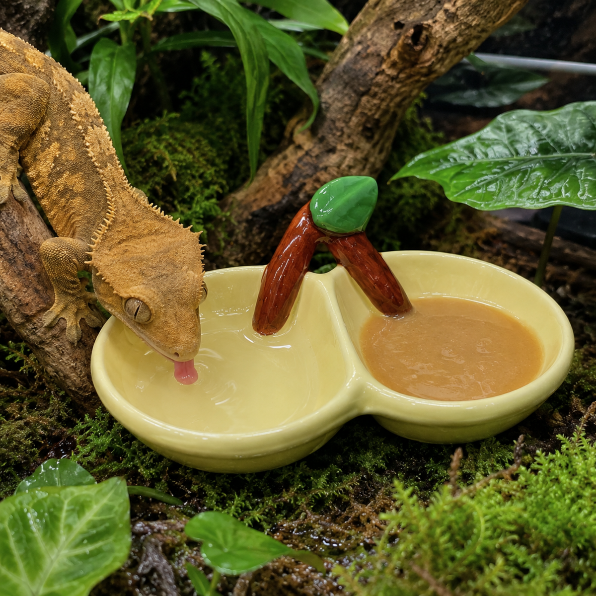 Cherry Blossom Divided Reptile Dish