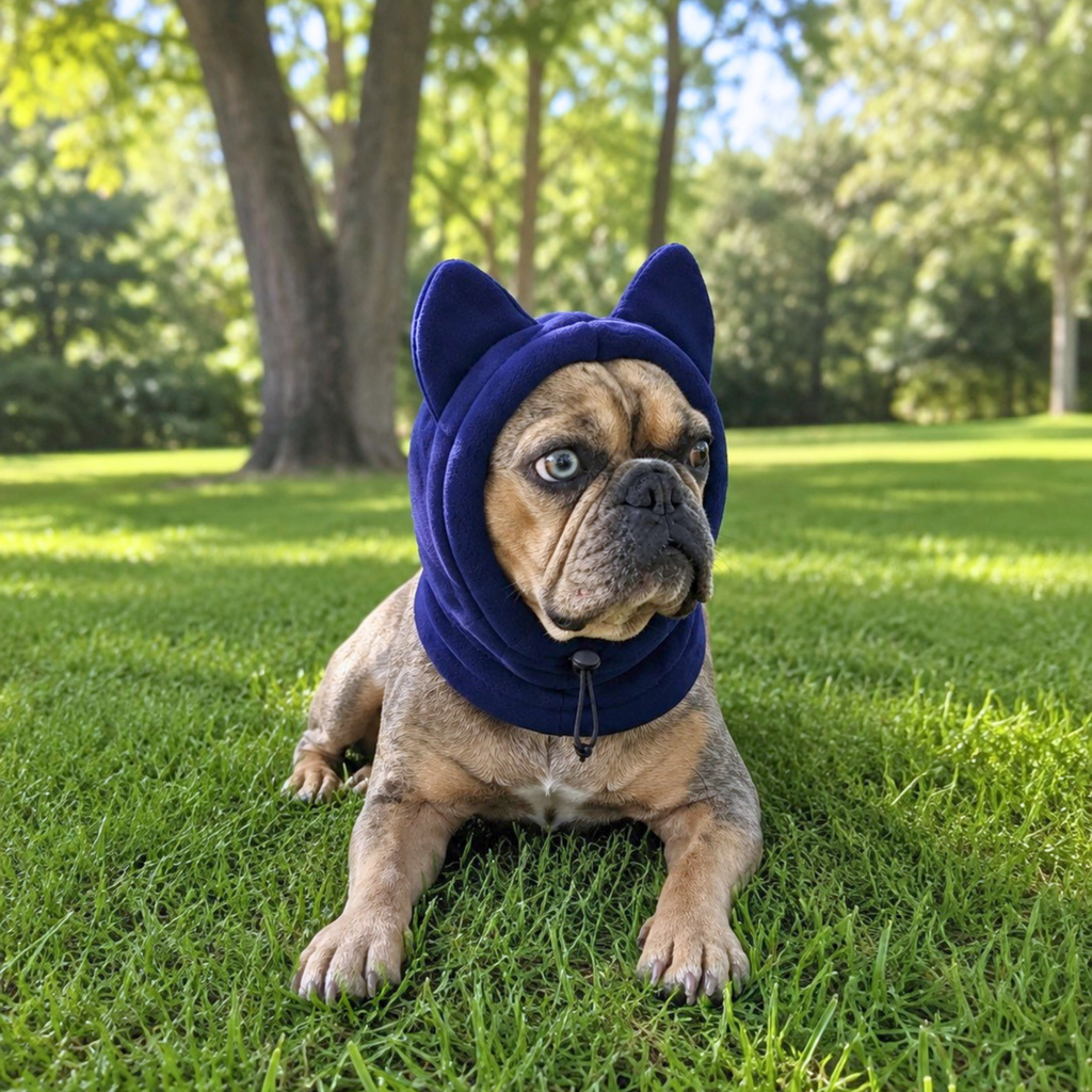Fleece Ear Hood