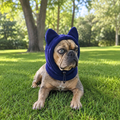 Fleece Ear Hood