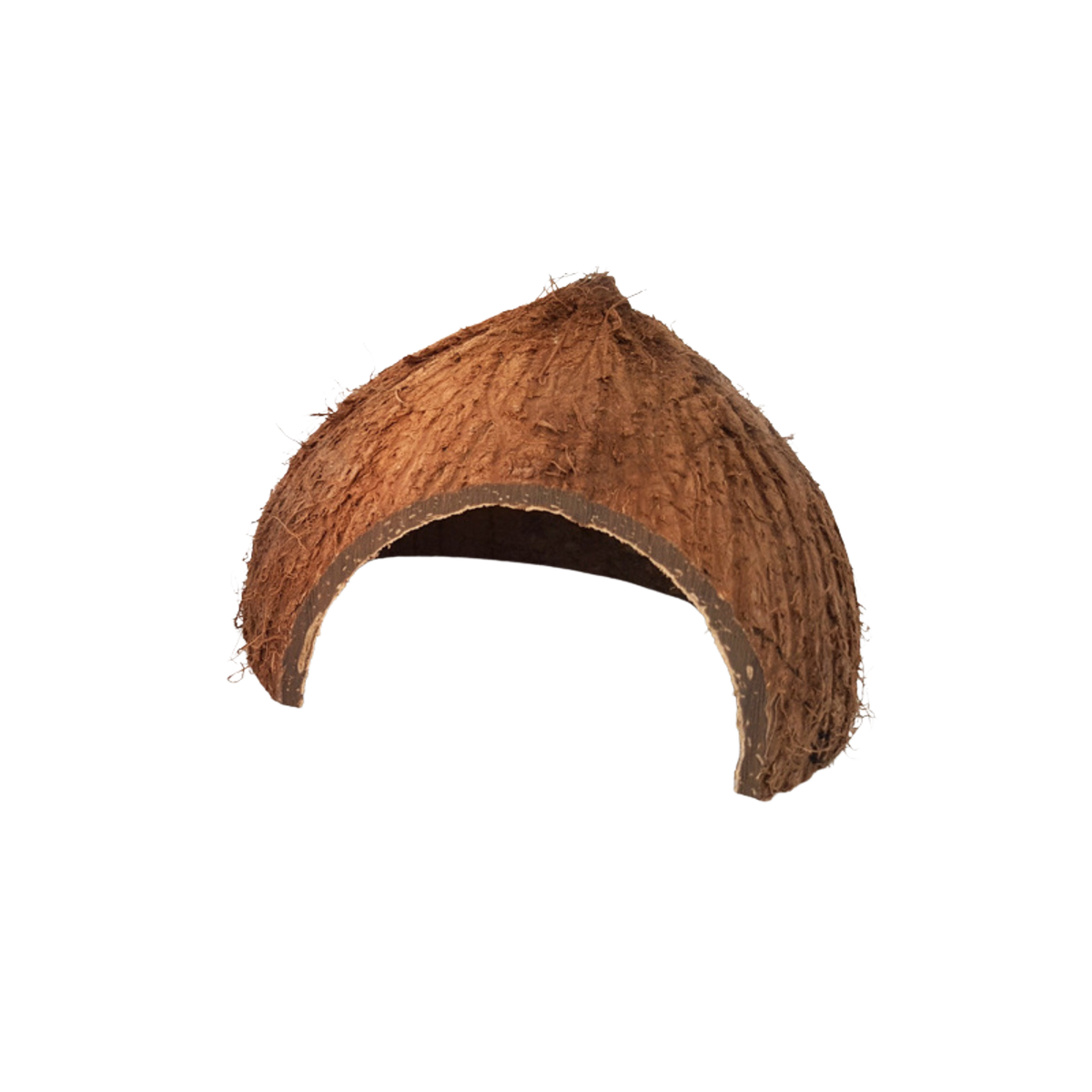 Natural Coconut Reptile Hide