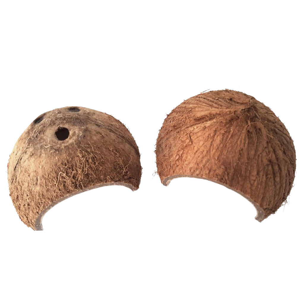 Natural Coconut Reptile Hide