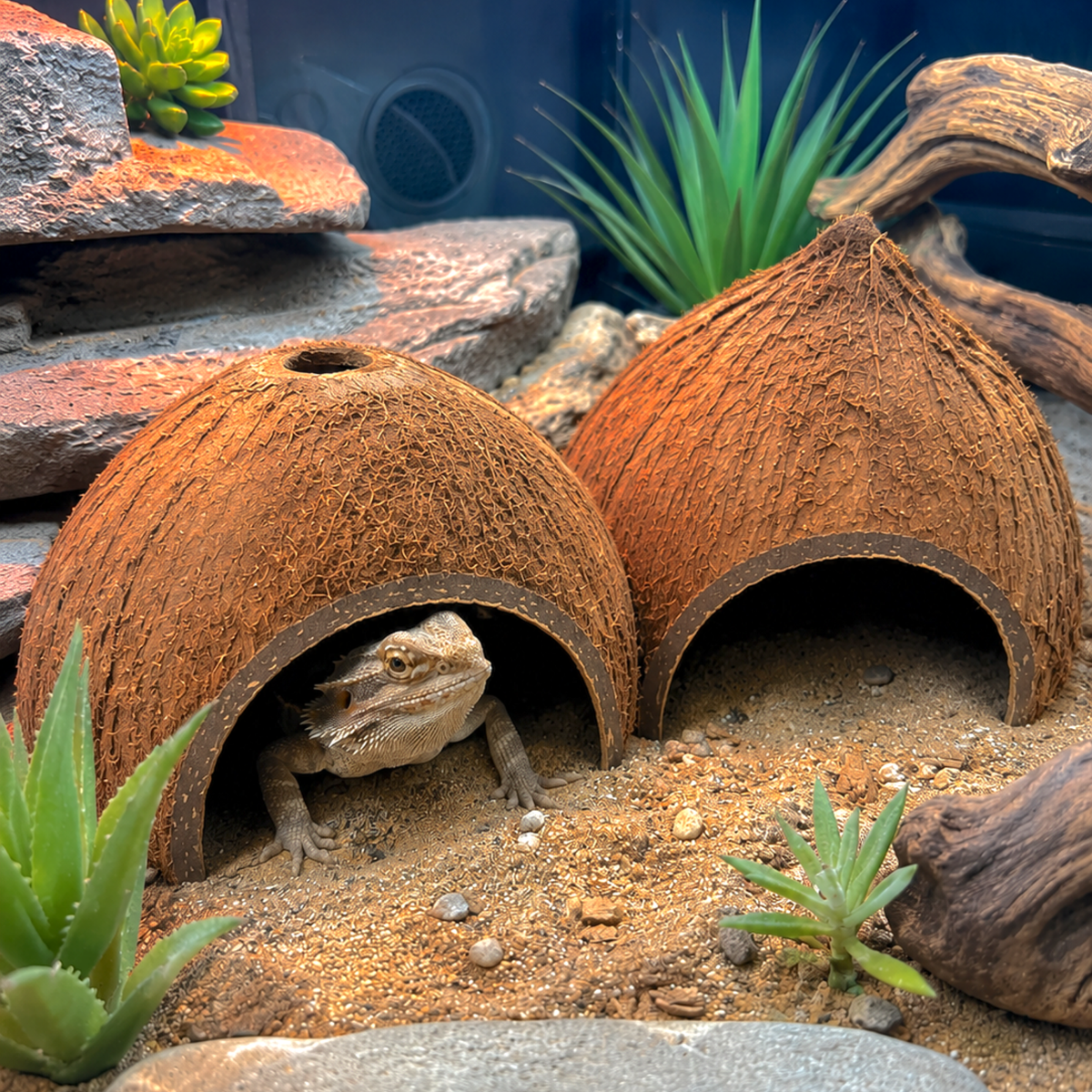 Natural Coconut Reptile Hide