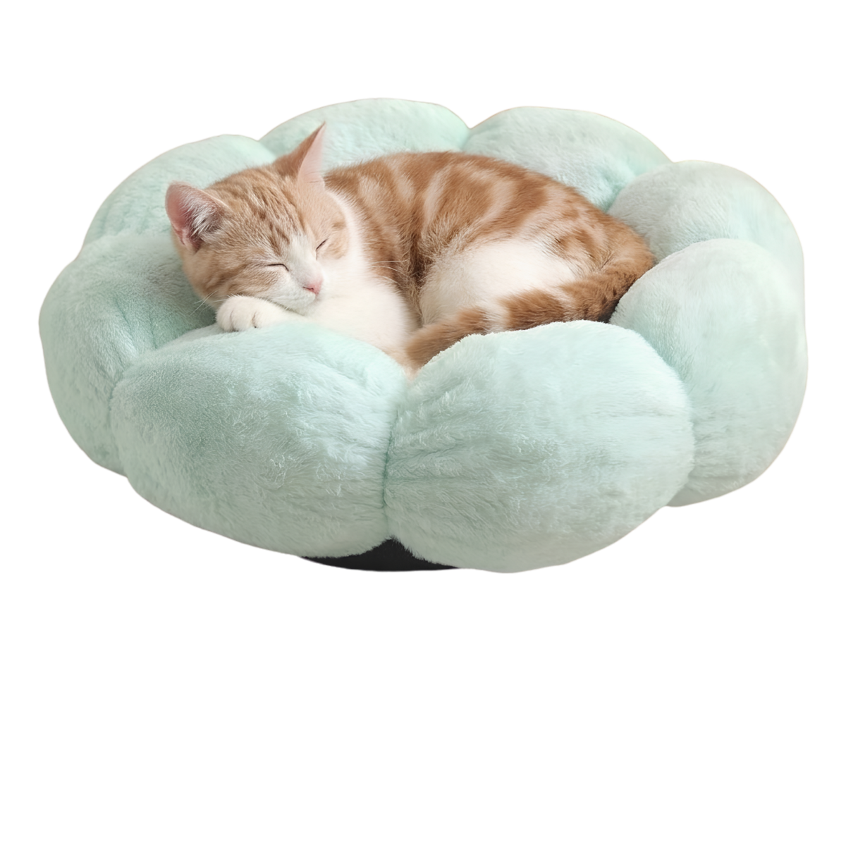 Cozy Blossom Pet Nest